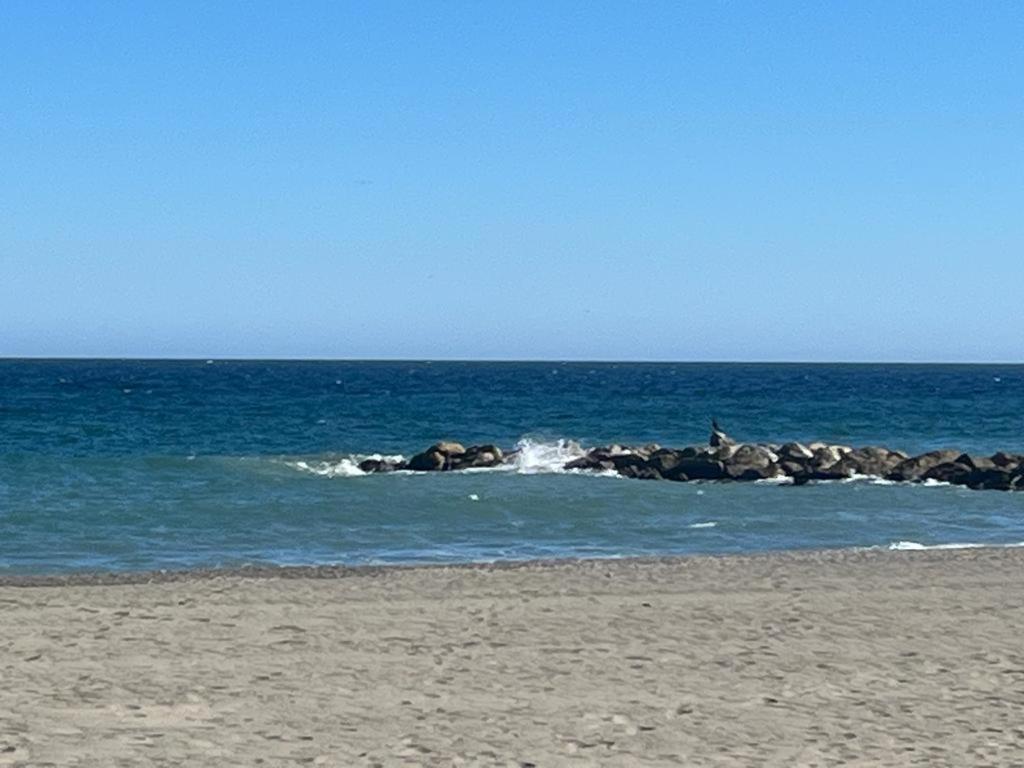 Lyrioshomes Precioso Apartamento Puerto De エステポナ エクステリア 写真